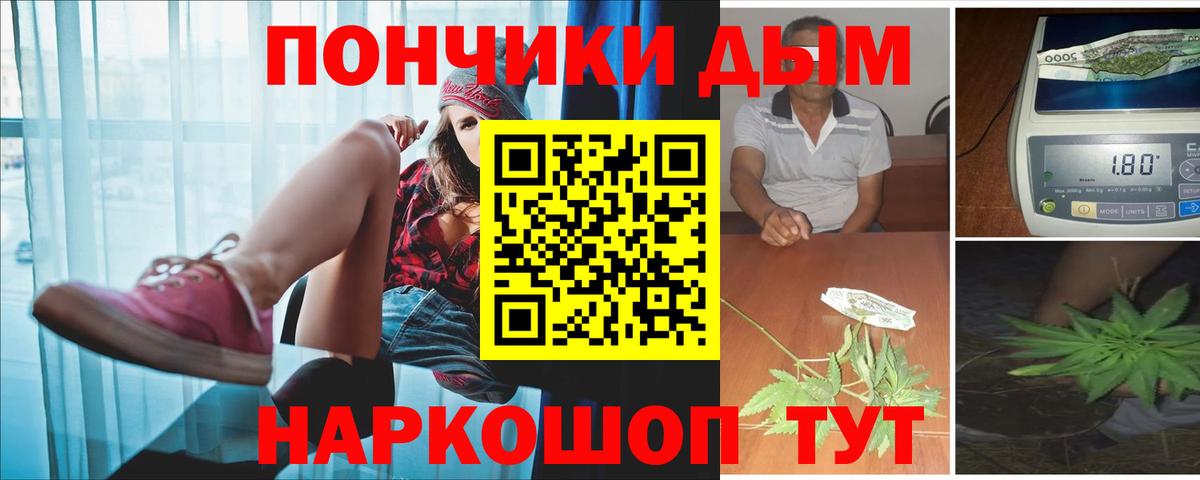 Бошки Шишки MAZAR Сургут